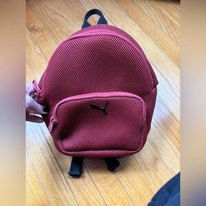 Puma Small Mesh Backpack in Burgundy